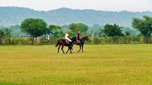 mundota-fort-and-palace-horse